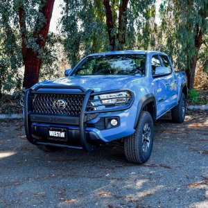 Toyota Tacoma Grille Guard - Westin - Sportsman X - Textured Black - `16-`21