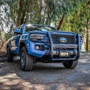 Toyota Tacoma Grille Guard - Westin - Sportsman X - Textured Black - `16-`21