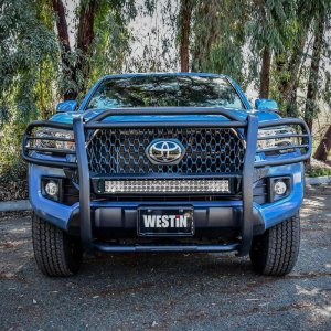 Toyota Tacoma Grille Guard - Westin - Sportsman X - Textured Black - `16-`21