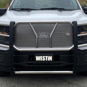 Ford F-150 Grille Guard - Westin - HDX - `21-`22