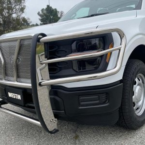 Ford F-150 Grille Guard - Westin - HDX - `21-`22