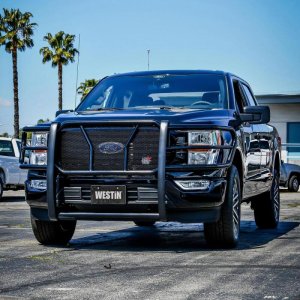 Ford F150 Grille Guard - Westin - HDX - Black - 2021