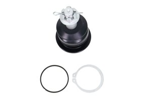 Toyota Tacoma Ball Joint Kit - Whiteline - Fixed Offset UCA Replacement - `05-`15