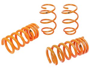 Ford Mustang Lowering Springs - Front and Rear - aFe - Powdercoat Gloss Silver - `15-`25