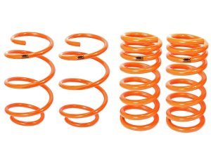 Ford Mustang Lowering Springs - Front and Rear - aFe - Powdercoat Gloss Silver - `15-`25