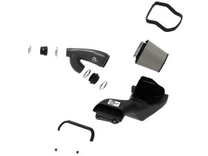 Ford F-150 Performance Air Intake - aFe - Track Series w/ Pro DRY S Filters - Carbon Fiber - `17-`20