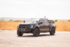 Ford F-150 Raptor Front Bumper - DV8 Offroad - Tube - `17-`20