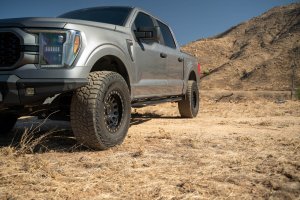 Ford F-150 Side Steps - DV8 Offroad - OE Plus - `15-`24