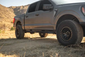 Ford F-150 Side Steps - DV8 Offroad - OE Plus - `15-`24