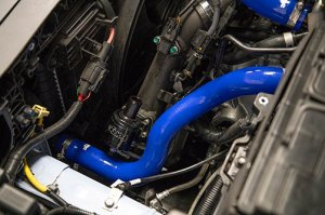 Hyundai Veloster Coolant Hose Kit by Forge Motorsport