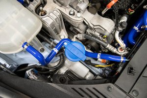 Hyundai Veloster Coolant Hose Kit by Forge Motorsport