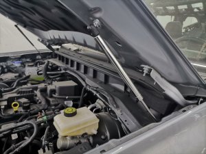 Ford Bronco Hood Strut Kit - set of 2 - Carbon Steel 