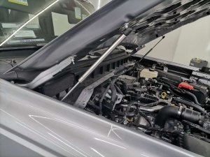 Ford Bronco Hood Strut Kit - set of 2 - Carbon Steel Ford Bronco Hood Strut Kit - set of 2 - Carbon Steel