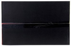 Nissan 370Z Performance Air Intake - AEM Induction - 21-821DS - Gray - `09-`20