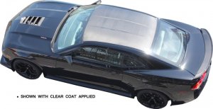 Chevrolet Camaro Roof - Anderson Composites - Dry Carbon - `10-`15