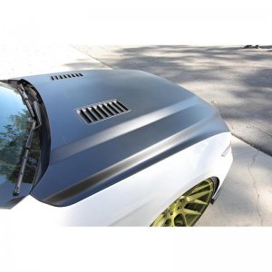 Ford Mustang Hood - Anderson Composites - Super Snake Style Fiberglass - `15-`17