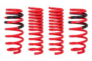 Dodge Challenger SRT-8 Hellcat Lowering Springs - Eibach - Pro-Kit - 2015