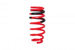 Dodge Challenger SRT-8 Hellcat Lowering Springs - Eibach - Pro-Kit - 2015