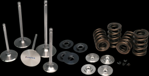 Subaru BRZ Valve Spring Kit - Ferrea - Single Spring - `12-`15