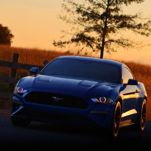 Ford Mustang Headlight Kit w/ Halos - ORACLE Lighting - Dynamic DRL w/ Sequential Turn Signal - ColorSHIFT - `18-`21