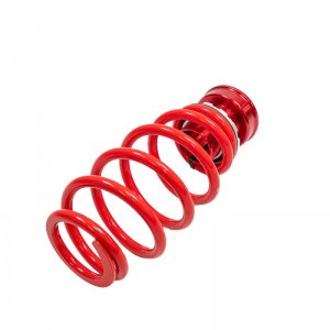 Ford Mustang Coilover Suspension Kit - Pedders - eXtreme XA Coilover - `05-`14
