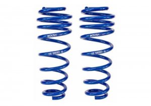 Ford Mustang Coil Springs - Rear - Roush - Stage 2/3 - `05-`14
