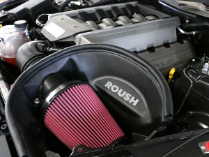 Ford Mustang Performance Air Intake - Roush - Cold Air - `15-`17