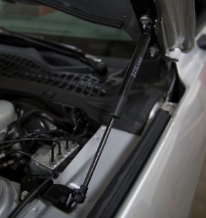 Ford Mustang Hood Strut Kit - Roush - RSH - Black - `15-`23