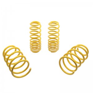 Ford Mustang Lowering Springs - ST Suspensions - ST Sport-tech - `05-`14