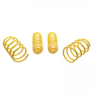 Ford Mustang Lowering Springs - ST Suspensions - ST Sport-tech - `05-`14