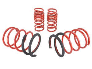 Acura RSX Coilover Suspension Kit - Front + Rear - Skunk2 Racing - Lowering Springs - `02-`04