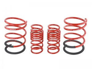 Acura RSX Coilover Suspension Kit - Front + Rear - Skunk2 Racing - Lowering Springs - `02-`04
