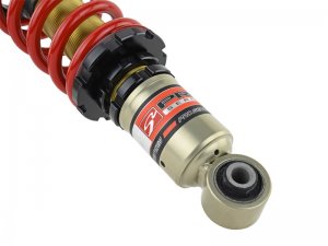 Acura RSX Coilover Suspension Kit - Front + Rear - Skunk2 Racing - Pro S II - `02-`04