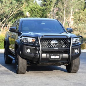 Toyota Tacoma Grille Guard - Front - Westin - Sportsman - Black - `16-`18
