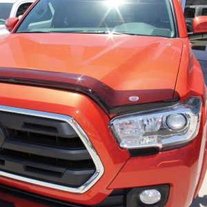 Toyota Tacoma Bug Shield - Westin - Platinum - Smoke - `16-`18