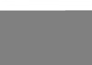 Dodge Challenger Steering Rack Bushing Kit - Whiteline - Whiteline Steering Rack & Pinion Mount - 2008