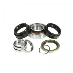 Toyota Tacoma Bearing and Seal Kit - Rear - Yukon Gear & Axle - T100 ABS - `01-`04