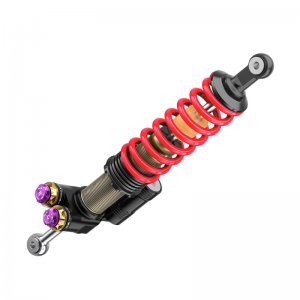 Porsche Carrera KW V5 Coilover Kit