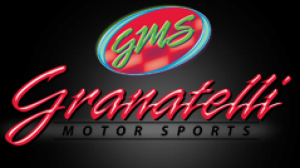 Honda Civic Ignition Wires - Granatelli Motor Sports - MPG Plus - 1.5L - `92-`95