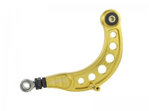Honda Civic Camber Kit - Rear - Skunk2 Racing - Pro Series - Gold Anodized - `16-`20