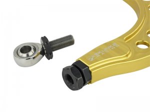 Honda Civic Camber Kit - Rear - Skunk2 Racing - Pro Series - Gold Anodized - `16-`20