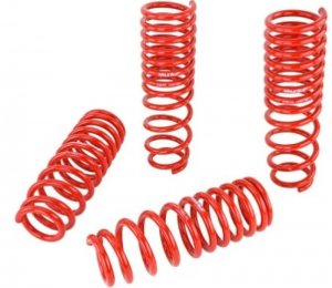 Honda Civic Lowering springs - Skunk2 Racing - `92-`95