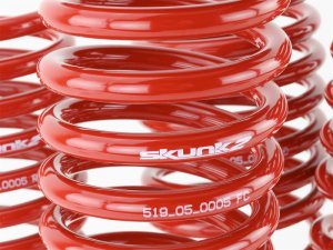 Honda Civic Lowering springs - Skunk2 Racing - `92-`95