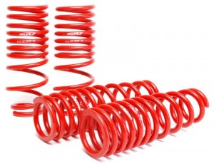 Honda Civic Lowering springs - Skunk2 Racing - `92-`95