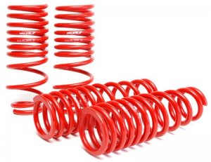 Honda Civic Lowering Springs - Skunk2 Racing - `96-`00