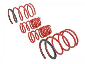 Honda Civic Lowering springs - Skunk2 Racing - Skunk2 - `01-`05