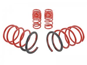 Honda Civic Lowering springs - Skunk2 Racing - Skunk2 - `01-`05