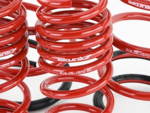 Honda Civic Lowering springs - Skunk2 Racing - Skunk2 - `01-`05