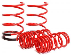 Honda Civic Lowering springs - Skunk2 Racing - Skunk2 - `01-`05