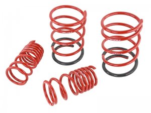 Honda Civic Lowering springs - Skunk2 Racing - Skunk2 - `01-`05